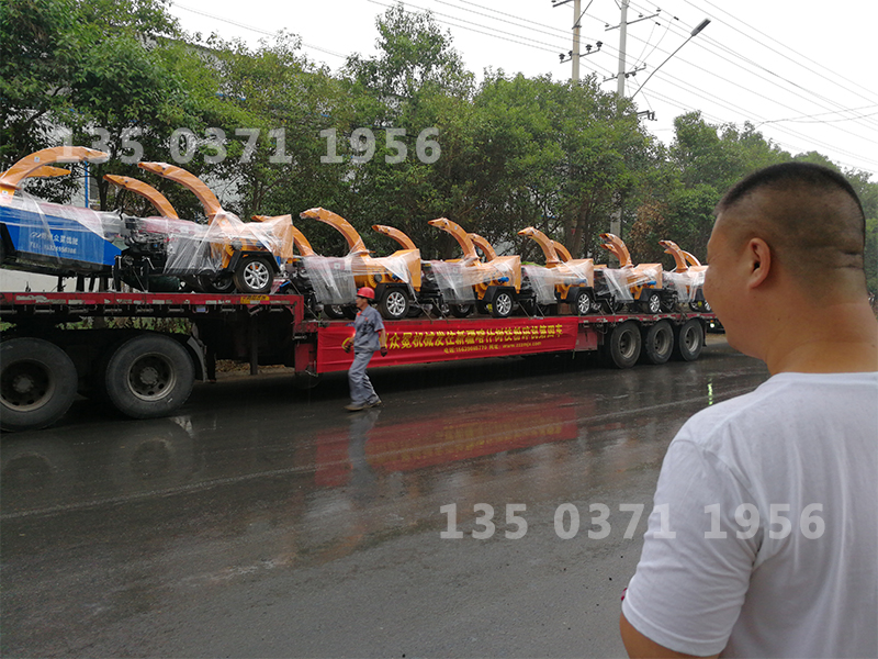 小型果樹枝粉碎機(jī)