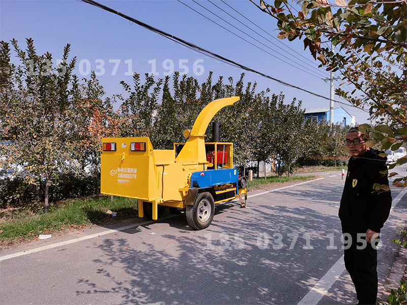 公園樹枝粉碎機(jī)