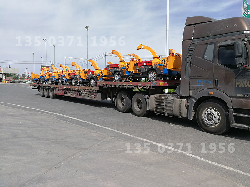 小型果樹樹枝粉碎機(jī)